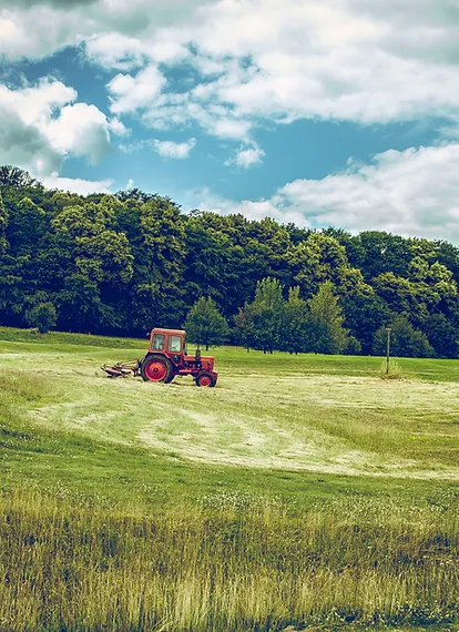 Agriculture - Paul Flay Pest Control